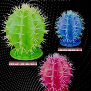 Cactus Ronds Lumineux