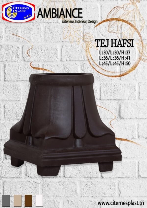 Tej Hafsi